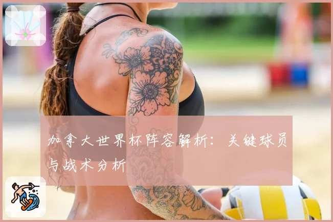 加拿大世界杯阵容解析:关键球员与战术分析